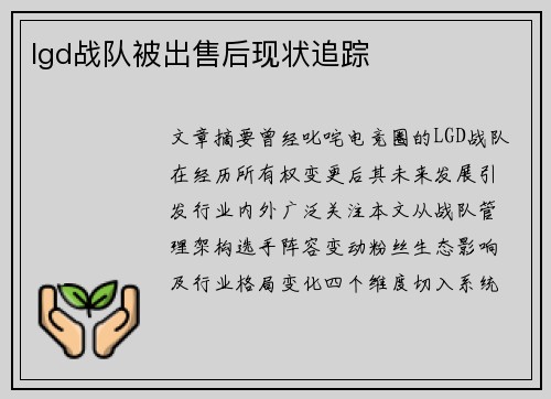 lgd战队被出售后现状追踪
