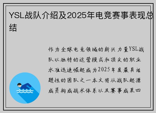 YSL战队介绍及2025年电竞赛事表现总结